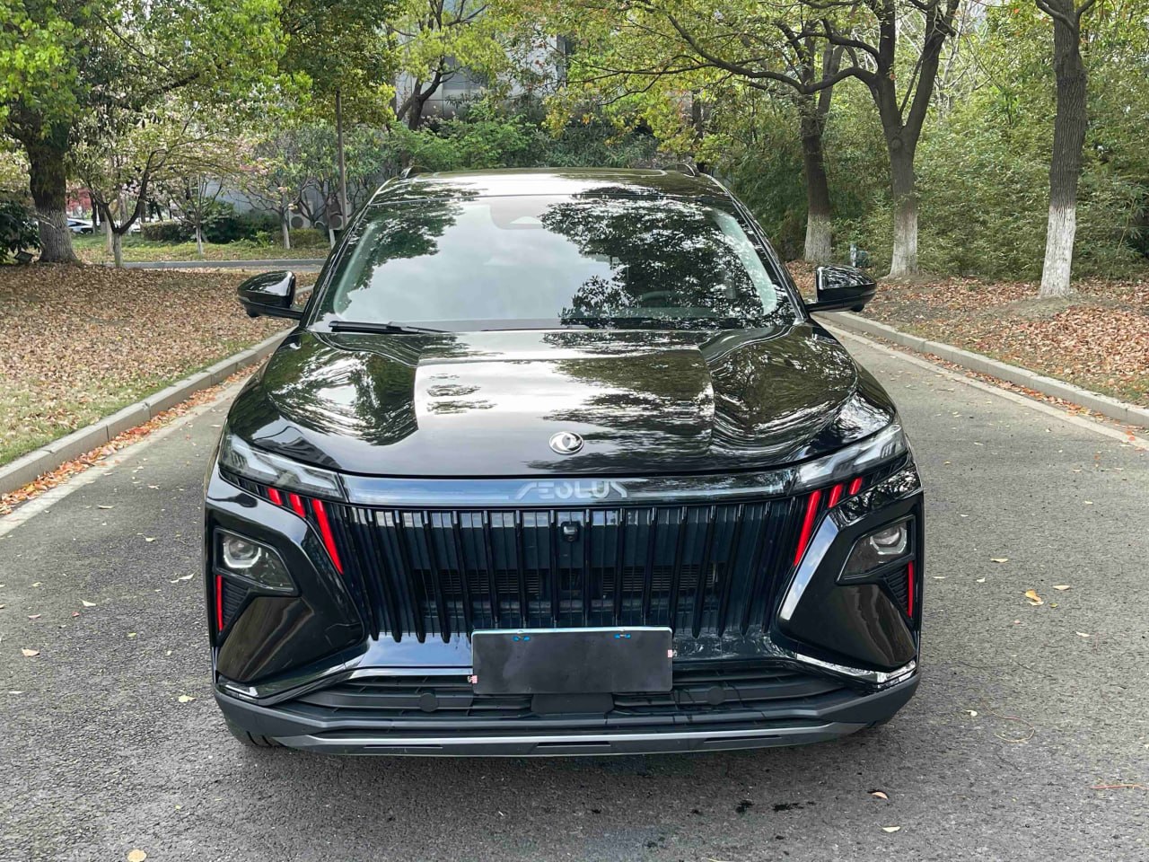 Dongfeng Huge 2024 1.5 Premium