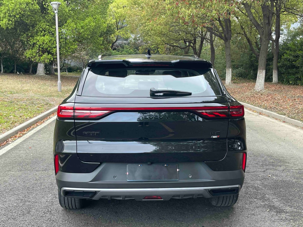 Dongfeng Huge 2024 1.5 Premium