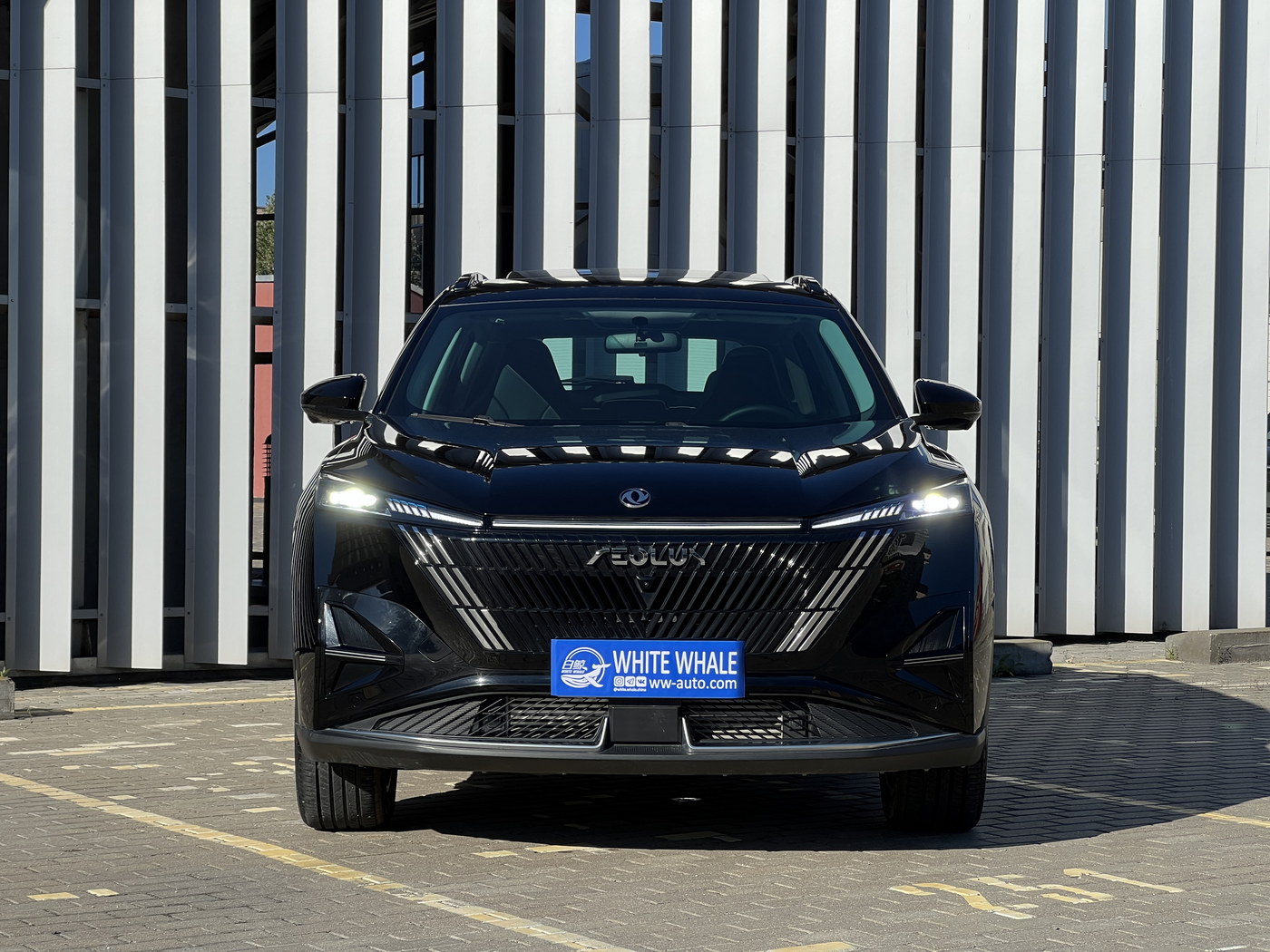 Dongfeng Mage 2024 1.5 Luxury