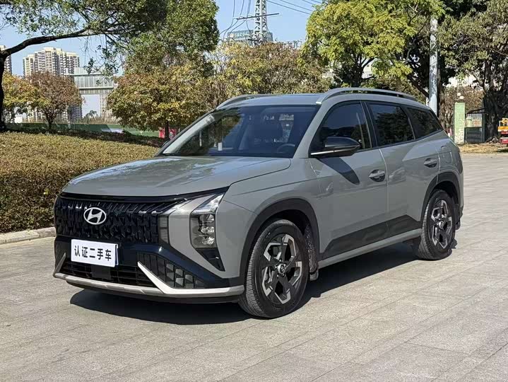 Hyundai Mufasa 2023 2.0L Premium edition